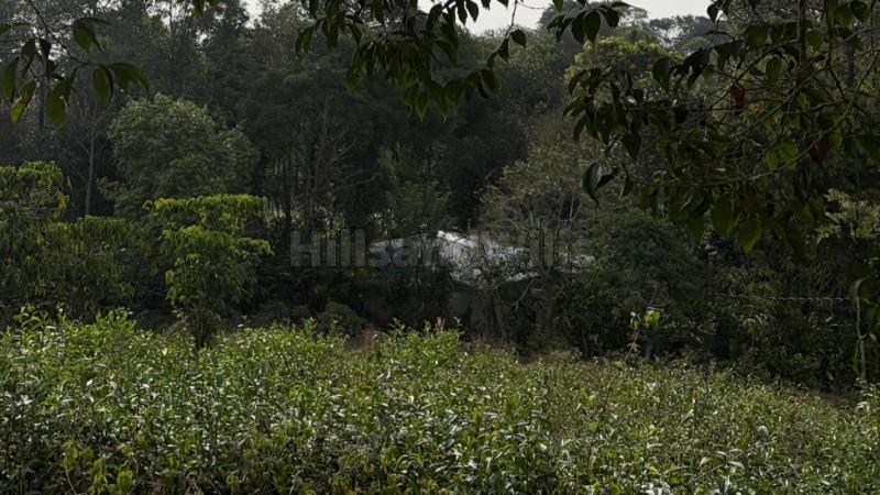 ₹16 Lac&nbsp;|&nbsp;10 cents residential plot for sale  in kuttikkanam idukki