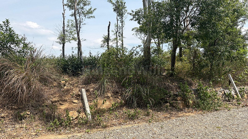 ₹16 Lac&nbsp;|&nbsp;10 cents residential plot for sale  in kuttikkanam idukki