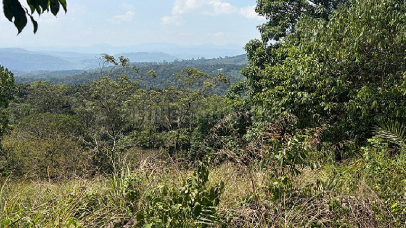 ₹16 Lac&nbsp;|&nbsp;10 cents residential plot for sale  in kuttikkanam idukki