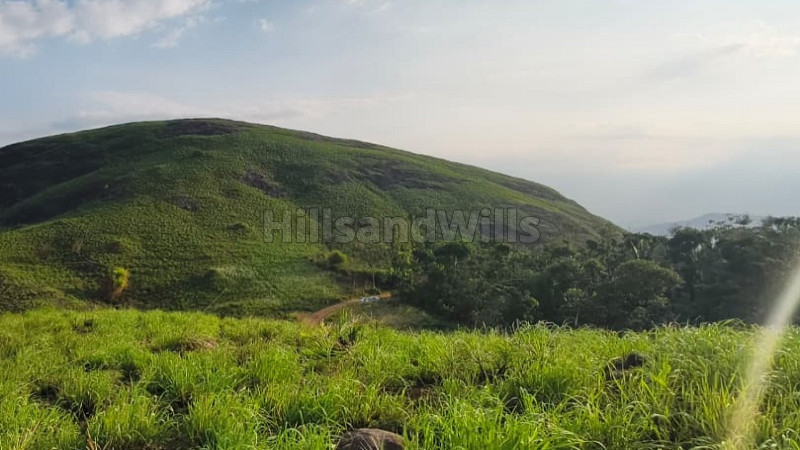 20 cents residential plot for sale  in santhanpara munnar