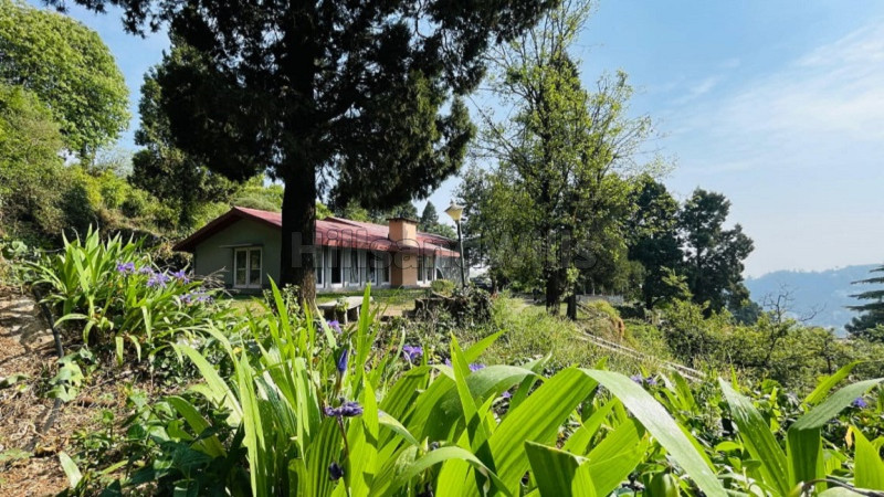 ₹50 Lac | 5bhk luxury villa for lease in mall road mussoorie