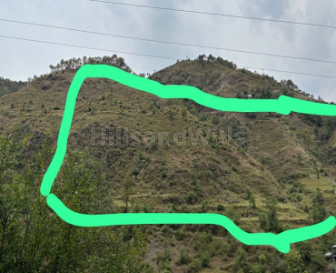 97 bigha residential plot for sale  in junga shimla