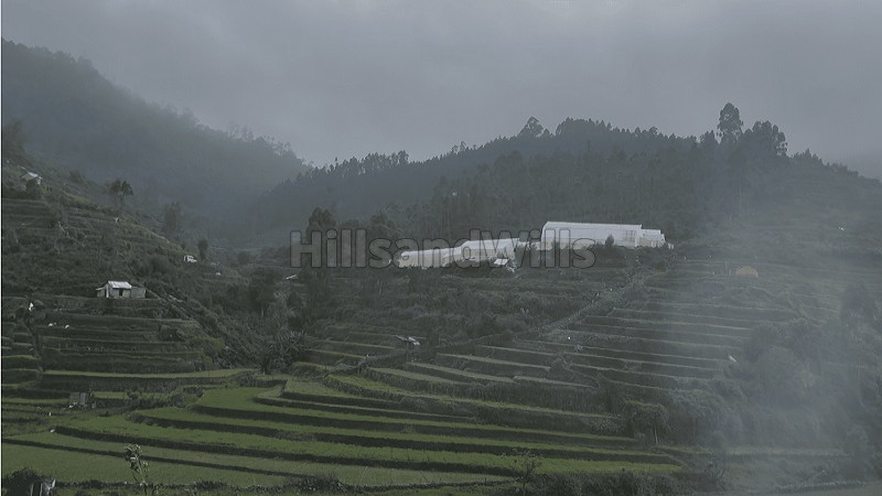 ₹63.20 Lac&nbsp;|&nbsp;34365 sq.ft.  water falls view land for sale  in poondi kodaikanal