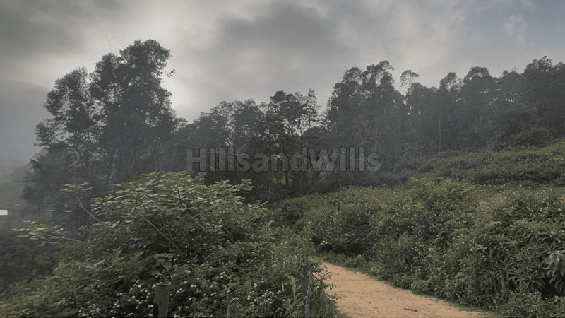 ₹63.20 Lac&nbsp;|&nbsp;34365 sq.ft.  water falls view land for sale  in poondi kodaikanal