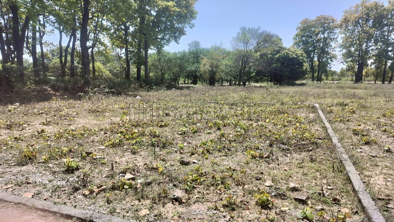 ₹65 Lac | 266 gaj residential plot for sale in kondhauli dehradun
