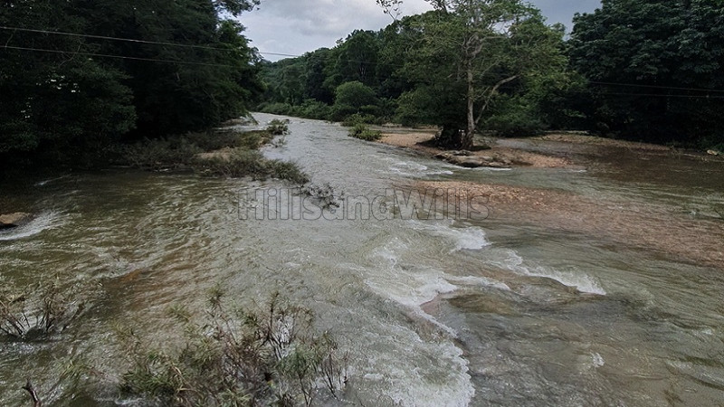 ₹8.50 Cr | 21.5 acres rubber estate with bungalow for sale in sampaje, coorg