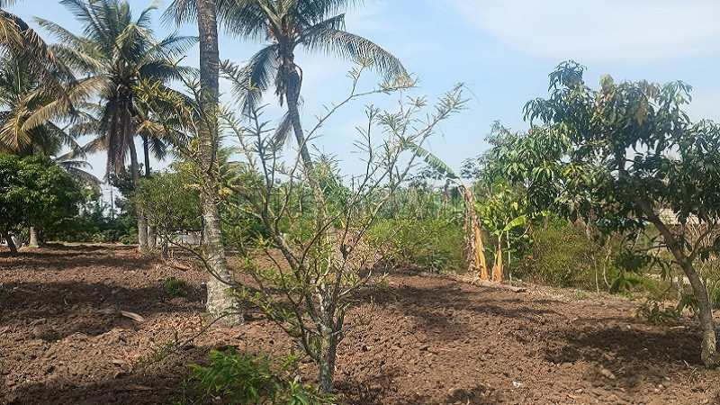 ₹50 K&nbsp;|&nbsp;30000 sq.ft. commerical land for rent  in mugulavalli chikmagalur