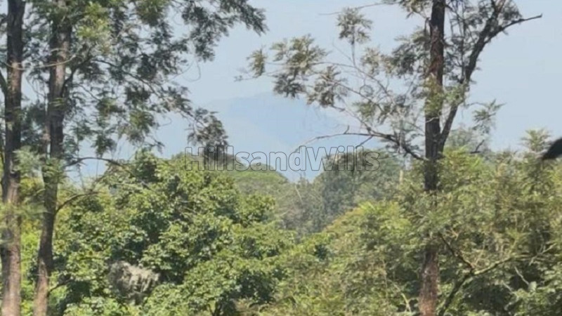 ₹5 Cr | 10.5 acres coffee estate for sale in kalpetta wayanad