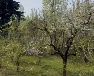  commerical land for sale  in nishat srinagar