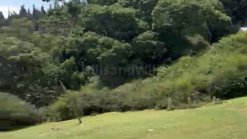 ₹5.50 Cr&nbsp;|&nbsp;77 cents residential plot for sale  behind wellington gymkhana club coonoor