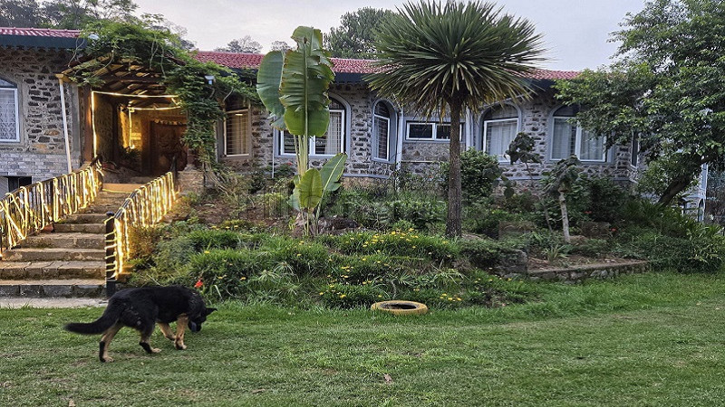 ₹40 Cr&nbsp;|&nbsp;8bhk  farmhouse with estate for sale  in bear shola hill kodaikanal