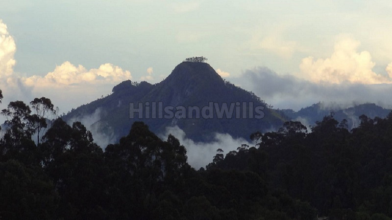 ₹40 Cr&nbsp;|&nbsp;8bhk  farmhouse with estate for sale  in bear shola hill kodaikanal