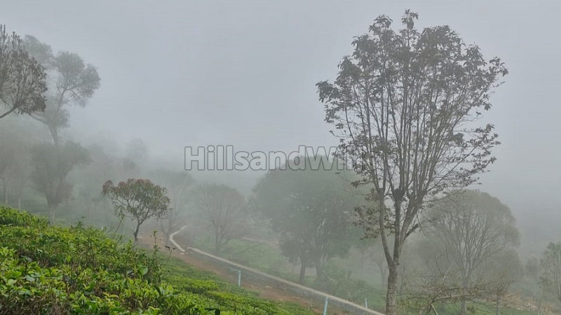 ₹49.50 Lac&nbsp;|&nbsp;21 cents  land for sale  in aravenu kotagiri