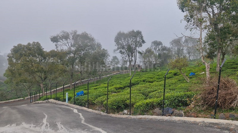 ₹49.50 Lac&nbsp;|&nbsp;21 cents  land for sale  in aravenu kotagiri