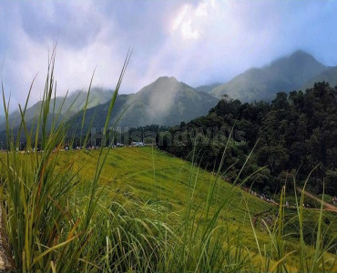 residential plot for sale  in anaikatti 