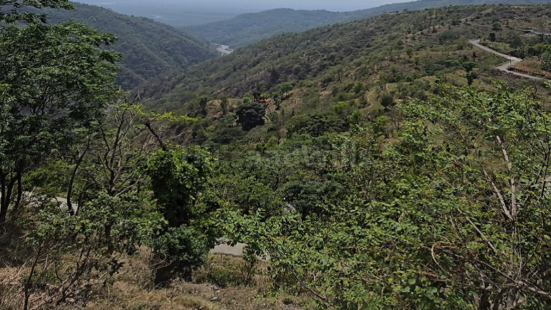 ₹3.50 Cr&nbsp;|&nbsp;4950 sq.yards  land for sale  in itharna rishikesh
