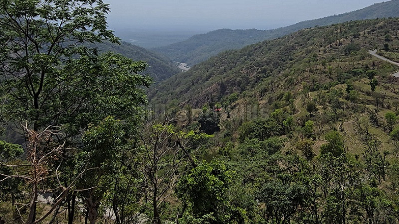 ₹3.50 Cr&nbsp;|&nbsp;4950 sq.yards  land for sale  in itharna rishikesh