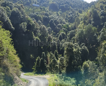 100 nali residential plot for sale  in rishikesh