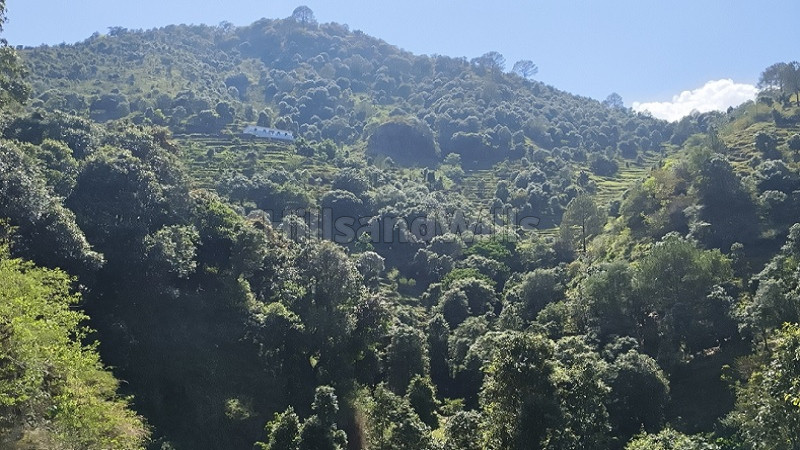 ₹50 Lac | 100 nali residential plot for sale in rishikesh