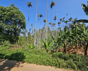 36 cents residential plot for sale  in erumad -thaloor gudalur