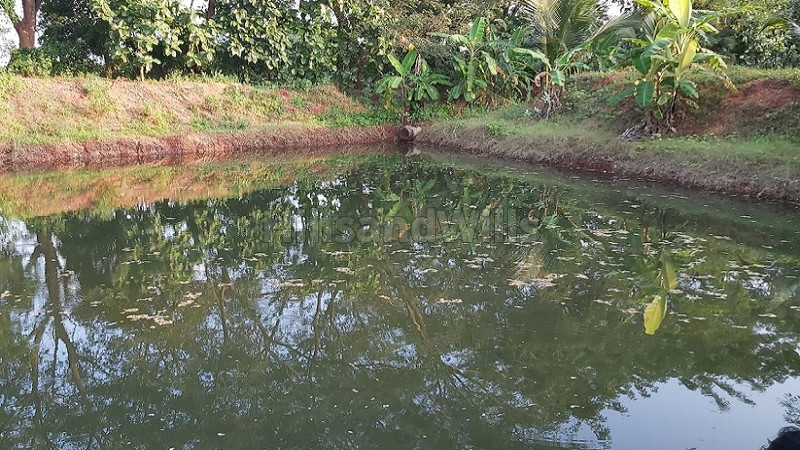 ₹6.10 Cr | 5bhk farm house for sale in courtallam