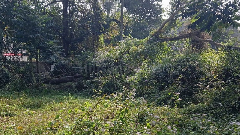 ₹35 Lac&nbsp;|&nbsp;13 cents residential plot for sale  in munderi, kalpetta wayanad