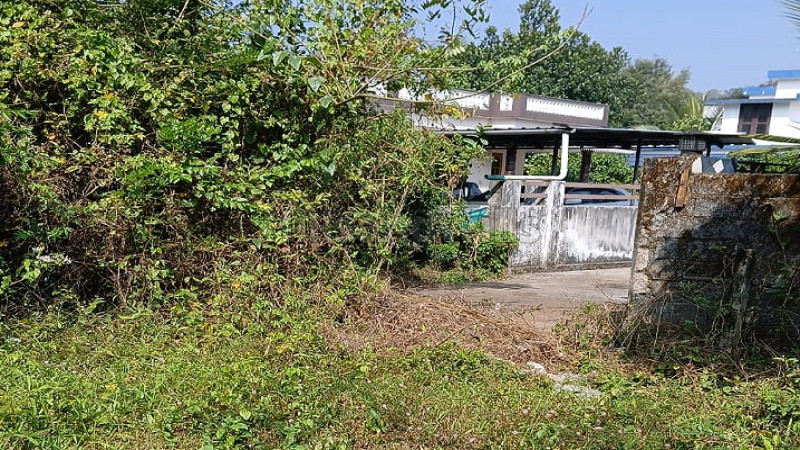 ₹35 Lac&nbsp;|&nbsp;13 cents residential plot for sale  in munderi, kalpetta wayanad