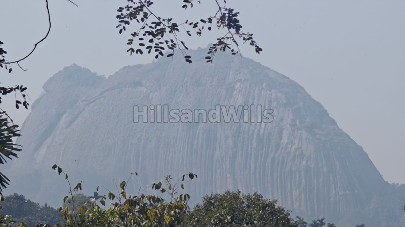 ₹55 Lac&nbsp;|&nbsp;2bhk farm house for sale  in meenangdi wayanad