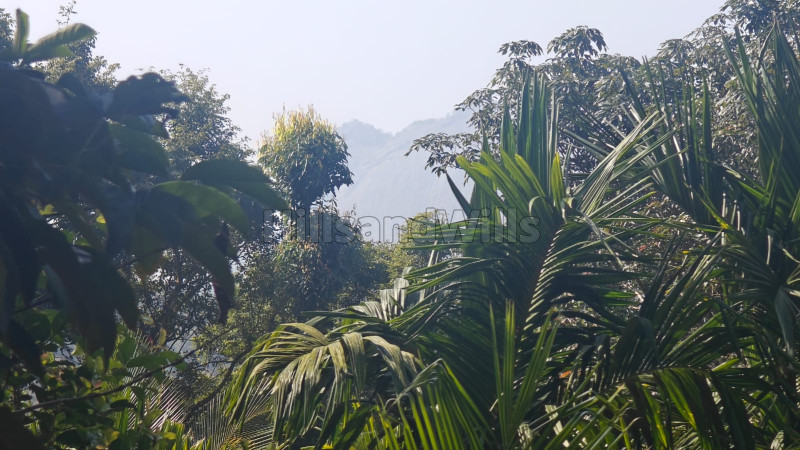 ₹55 Lac&nbsp;|&nbsp;2bhk farm house for sale  in meenangdi wayanad