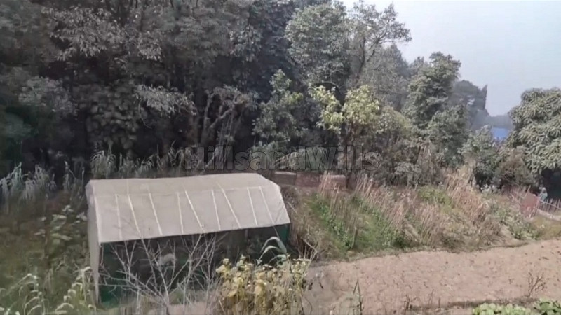 ₹35 Lac | 13 decimal land for sale in kurseong darjeeling