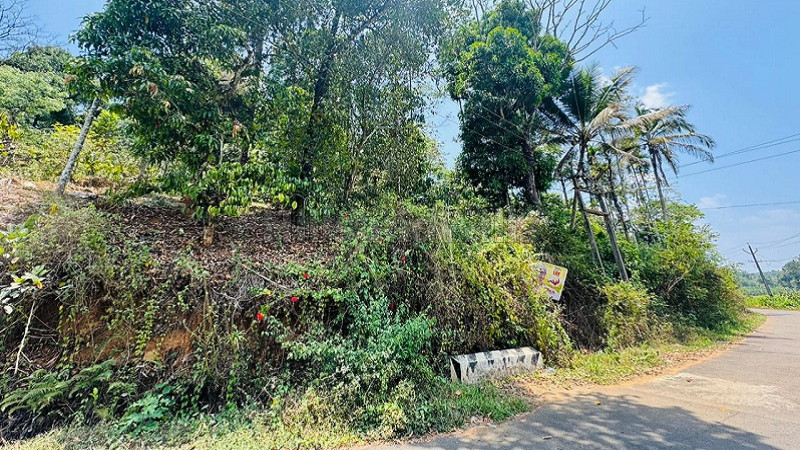 ₹98 Lac | 2.58 acres coffee estate for sale in vythiri taluk wayanad