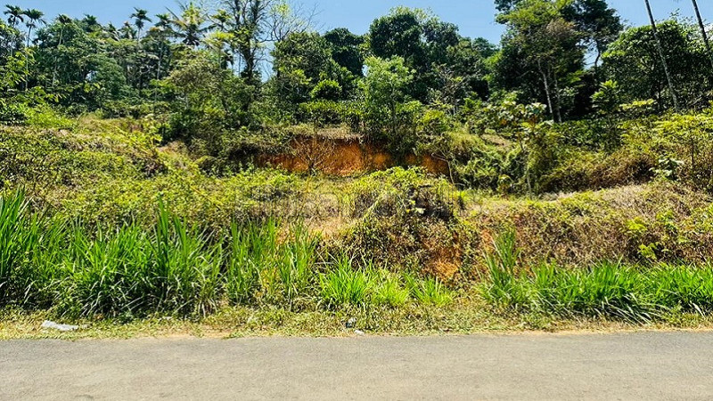 ₹98 Lac | 2.58 acres coffee estate for sale in vythiri taluk wayanad