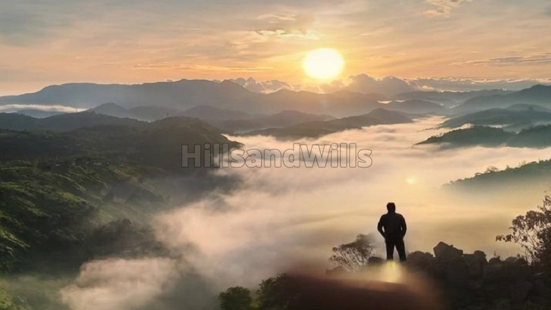 ₹3 Cr | 5bhk luxury villa for sale in vagamon idukki