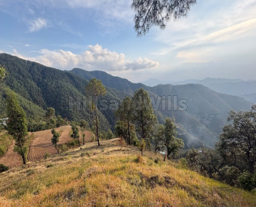 3 bigha  land for sale  in koti kufri shimla
