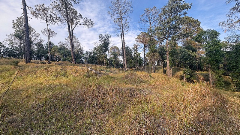 ₹1.80 Cr&nbsp;|&nbsp;3 bigha  land for sale  in koti kufri shimla