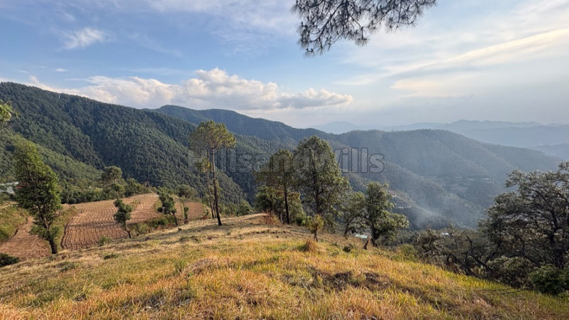 ₹1.80 Cr&nbsp;|&nbsp;3 bigha  land for sale  in koti kufri shimla