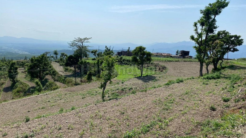 ₹60 Lac | 300 sq.yards land for sale in tehsil vikas nagar dehradun