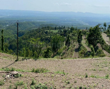 300 sq.yards  land for sale  in tehsil vikas nagar dehradun