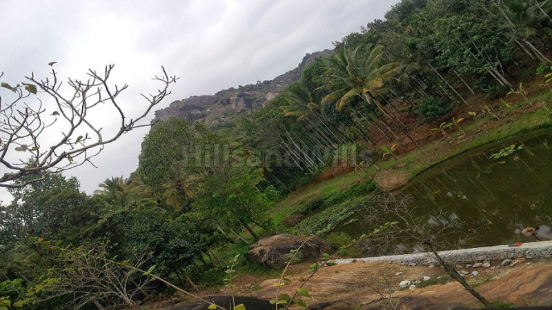 ₹12 Lac | 20 cents 3bhk villa & residential plots for sale in ambalavayal wayanad