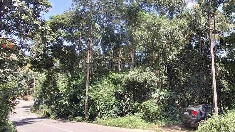 ₹12 Lac | 20 cents 3bhk villa & residential plots for sale in ambalavayal wayanad