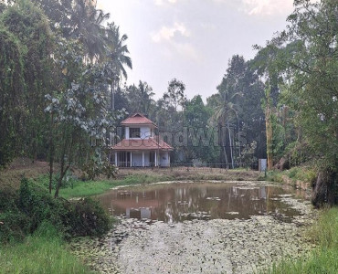 20 cents  3bhk villa & residential plots for sale  in ambalavayal wayanad