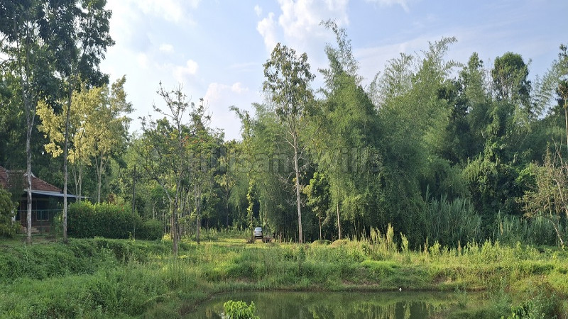 ₹12 Lac&nbsp;|&nbsp;20 cents  gated community villa plots for sale  in nadavayal wayanad