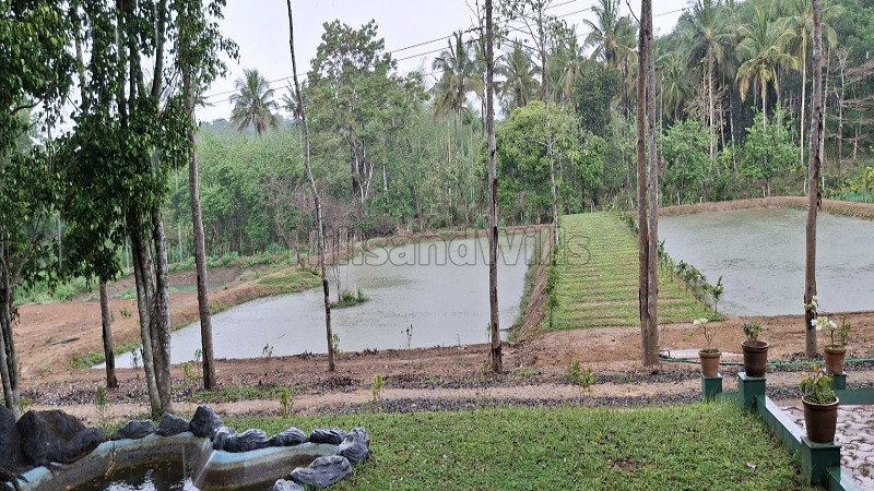 ₹12 Lac&nbsp;|&nbsp;20 cents  gated community villa plots for sale  in nadavayal wayanad