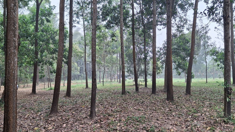 ₹12 Lac&nbsp;|&nbsp;20 cents  gated community villa plots for sale  in nadavayal wayanad