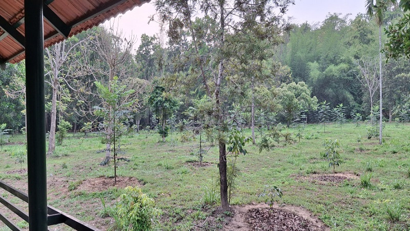 ₹12 Lac&nbsp;|&nbsp;20 cents  gated community villa plots for sale  in nadavayal wayanad