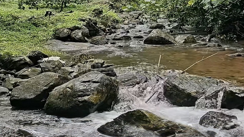 ₹1.48 Cr | 4 acres coffee estate for sale in madikeri coorg