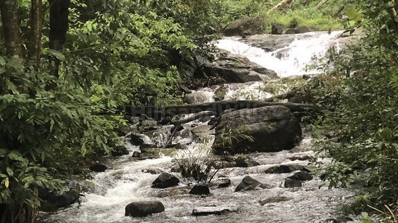 ₹1.48 Cr | 4 acres coffee estate for sale in madikeri coorg