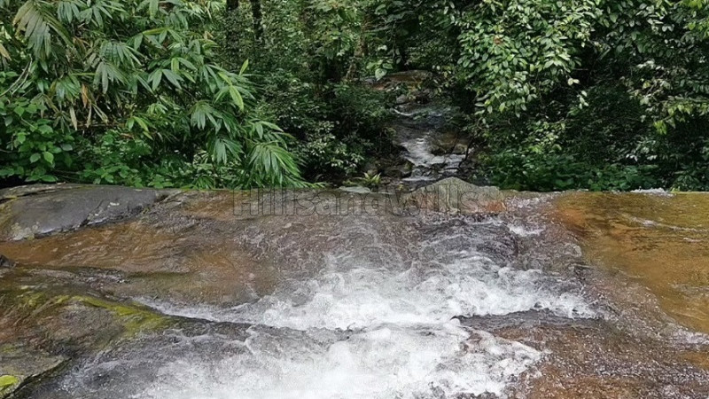 ₹1.48 Cr | 4 acres coffee estate for sale in madikeri coorg