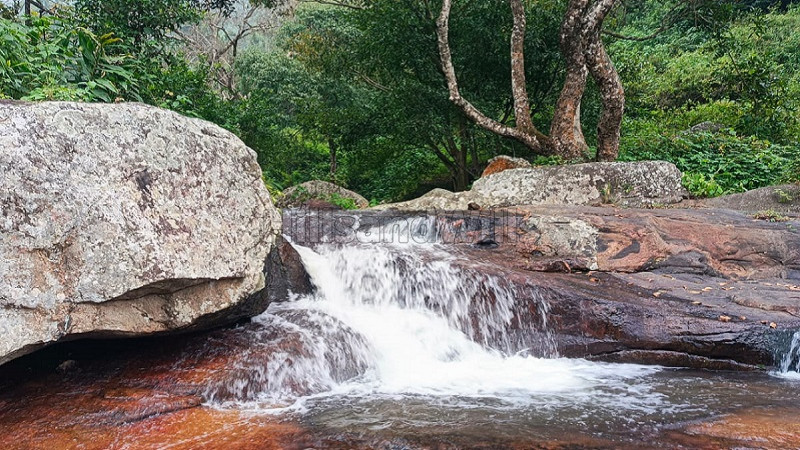 ₹42 Lac | 21 cents agriculture land for sale in vadakounji kodaikanal