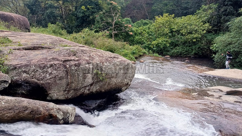 ₹42 Lac | 21 cents agriculture land for sale in vadakounji kodaikanal